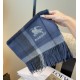 Replica Sciarpa Burberry Check Classical cashmere 30 x 180 Blu Outlet Per Uomo e Donna Premio Replica Sciarpa Burberry Check Classical cashmere 30 x 180 Blu Imitazioni False Online