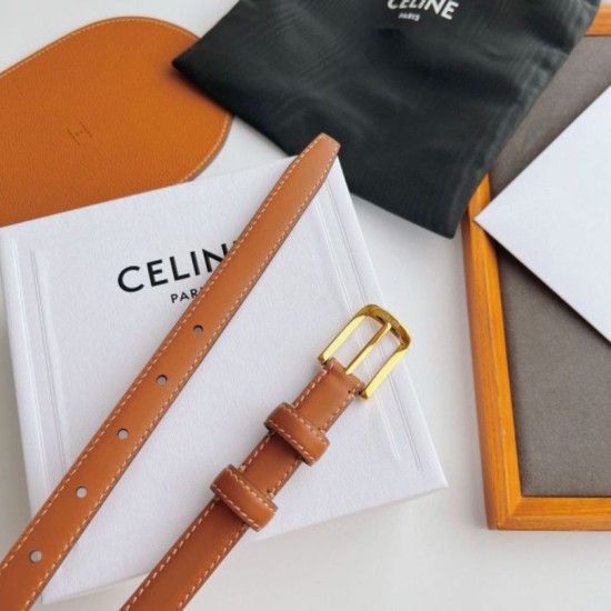 Premio Replica Cintura Celine Elegant Charm 18mm Marrone finiture dorate Imitazioni Outlet Online