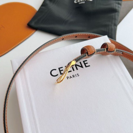 Premio Replica Cintura Celine Elegant Charm 18mm Marrone finiture dorate Imitazioni Outlet Online