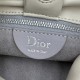 Premio Replica Borsa a tracolla Dior Bow piccola/media Acciaio inossidabile Beige chiaro Imitazione Outlet