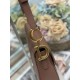 Premio Replica Borsa Dior Saddle pelle di vitello liscia marrone Imitazione Outlet