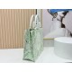 Premio Replica Borsa Dior Book Tote piccolo/media/grande con tracolla ricamo Toile de Jouy multicolore verde Imitazione Outlet