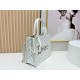 Premio Replica Borse Dior Dioramour piccolo/media/grande Dior Book Tote con tracolla bianca Imitazione Outlet