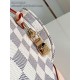 Falso Perfetto Zaino Louis Vuitton N00120 Montsouris PM Beige Imitazione Outlet Online