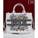 Replica Dior Fortunato Media Dior Book Tote Dior Bianco Imitazioni perfette Outlet