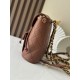Perfetto Replica Zaino vintage Chanel Duma marrone Economiche Vintage False Premio Repliche Zaino vintage Chanel Duma marrone Imitazione Outlet Online