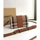 Premio Repliche Borsa a tracolla piccola con fibbia Burberry Caffè Imitazione Outlet Online