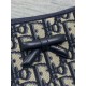 Replica Borsa Shopping Dior piccola/grande jacquard blu Dior Oblique False Fatte Bene