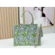 Premio Replica Borsa Dior Book Tote piccola/media/grande con motivo mughetto Verde Imitazione Outlet
