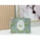 Premio Replica Borsa Dior Book Tote piccola/media/grande con motivo mughetto Verde Imitazione Outlet