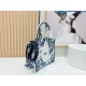Premio Replica Borsa Dior Book Tote piccola/media/grande con ricamo Toile de Jouy blu/bianco Imitazione Outlet