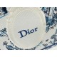 Premio Replica Borsa Dior Book Tote piccola/media/grande con ricamo Toile de Jouy blu/bianco Imitazione Outlet