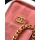 Qualità superiore Replica Borse Chanel 25 Mini Hobo AS5631 pelle di vitello scamosciata rosa Imitazione Outlet