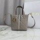 Qualità superiore Replica Borsa tote verticale Dior Toujours piccola Grigia Imitazione Outlet