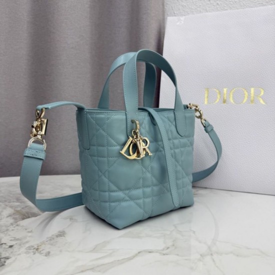 Qualità superiore Replica Borsa tote verticale Dior Toujours piccola Blu Imitazione Outlet