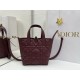 Replica di alta qualità Borsa Tote verticale piccolo Dior Toujours Borgogna Imitazione