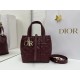 Replica di alta qualità Borsa Tote verticale piccolo Dior Toujours Borgogna Imitazione