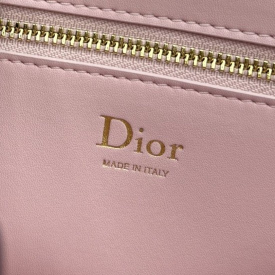 Replica perfetta Borsa a tracolla Dior Medallion 23cm M3920 Rosa Falsa Online Replica fedele Borsa a tracolla Dior Medallion 23cm M3920 Rosa Imitazione Outlet