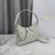 Replica fedele Borsa a tracolla Dior 30 Montaigne Miss Caro Oblique beige/grigio Imitazione Outlet