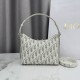 Replica fedele Borsa a tracolla Dior 30 Montaigne Miss Caro Oblique beige/grigio Imitazione Outlet