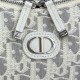 Replica fedele Borsa a tracolla Dior 30 Montaigne Miss Caro Oblique beige/grigio Imitazione Outlet