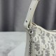Replica fedele Borsa a tracolla Dior 30 Montaigne Miss Caro Oblique beige/grigio Imitazione Outlet