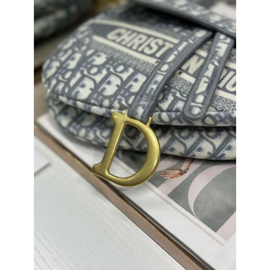Replica fedele Borsa a tracolla Dior Saddle Oblique ricamata grigia Imitazione Outlet