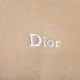 Falso imitazione Borsa Diorly Dior medio Custian Hobo 26s scamosciata di vitello beige Replica Perfetta Borsa Diorly Dior medio Custian Hobo 26s scamosciata di vitello beige