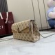 Replica Perfetta Borsa a tracolla Gucci Dionysus 876531  tela GG marrone