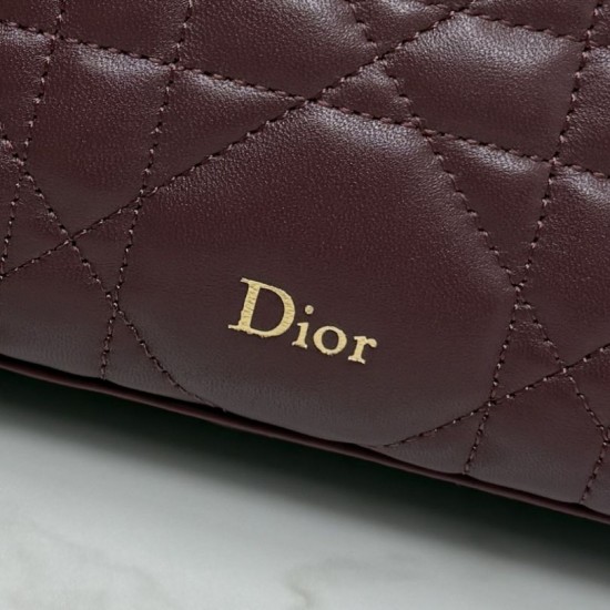 Replica AAA Pochette Dior Travel Nomad S2613 Borgogna Replica Perfetta Pochette Dior Travel Nomad S2613 Borgogna Imitazione Falsa