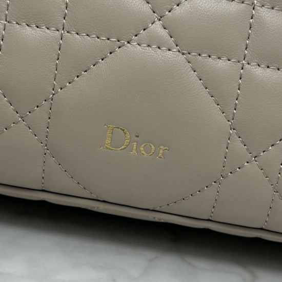 Replica AAA Pochette Dior Travel Nomad S2613 albicocca Replica Perfetta Pochette Dior Travel Nomad S2613 albicocca Imitazione Falsa