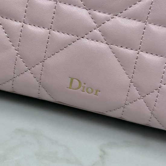 Replica AAA Pochette Dior Travel Nomad S2613 Rosa Replica Perfetta Pochette Dior Travel Nomad S2613 Rosa Imitazione Falsa