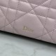 Replica AAA Pochette Dior Travel Nomad S2613 Rosa Replica Perfetta Pochette Dior Travel Nomad S2613 Rosa Imitazione Falsa