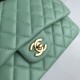 Replica Borsa classica con patta A1112 Hardware argento verde chiaro