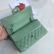 Replica Borsa Classica In Pelle Di Vitello Grana A1112 Verde Chiaro