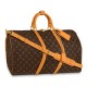 Replica Borse Keepall Bandouliere 50 Monogram Canvas M44880