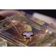 Replica Color Blossom Sun Pendant Q93520