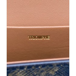Replica Celine Borsa A Tracolla Catena Triomphe In Tela Triomphe Caffè