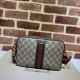 Replica Borsa a tracolla Gucci Ophidia GG 699439 Marrone