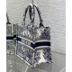 Replica Borsa a libro piccola Dior Christian Dior