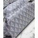 Replica Zaino Christian Dior Hit The Road Grigio