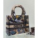 Replica Borsa Christian Dior Medium Lady D-Lite Albicocca