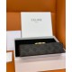 Replica Celine Box Triomphe In Tela Triomphe E Pelle Di Vitello Caffè