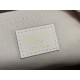 Replica Borsa Louis Vuitton Seedy Bandoulière 20 M46518 Monogram Empreinte
