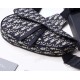 Replica Christian Dior Saddle Belt Borsa da uomo in tela obliqua