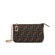 Replica Fendi Baguette Pouch 8BS073 Borsa Caffè