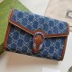 Replica Mini borsa a catena Dionysus 401231 blu