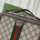 Replica Borsa a spalla Gucci Ophidia piccola con nastro Web 739392 Marrone