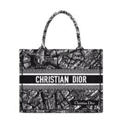 Replica Christian Dior Medium Dior Book Tote Borsa con motivo Plan de Paris ricamato nera