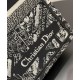 Replica Christian Dior Medium Dior Book Tote Borsa con motivo Plan de Paris ricamato nera